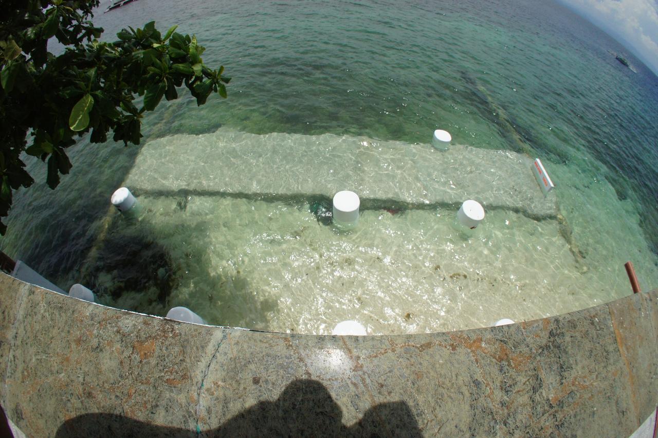 Moalboal Shaka Traveler'S Place (Adults Only) Extérieur photo